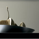 Модели кухни Алнопредставени от Firm-replace и Ално